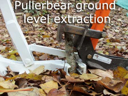 Pullerbear Minimum Stem Height Huge Adantage Over the Extractigator and Uprooter.